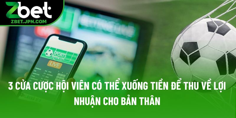 3 cửa cược hội viên có thể xuống tiền để thu về lợi nhuận cho bản thân