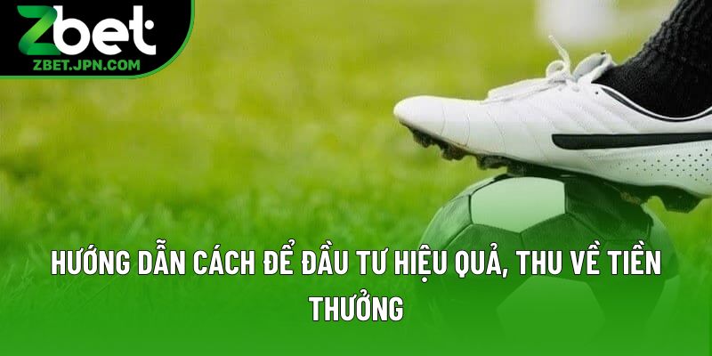 Hướng dẫn cách để đầu tư hiệu quả, thu về tiền thưởng