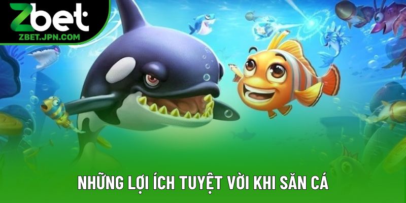 Những lợi ích tuyệt vời khi săn cá